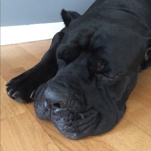 Meet your Posher, Todd